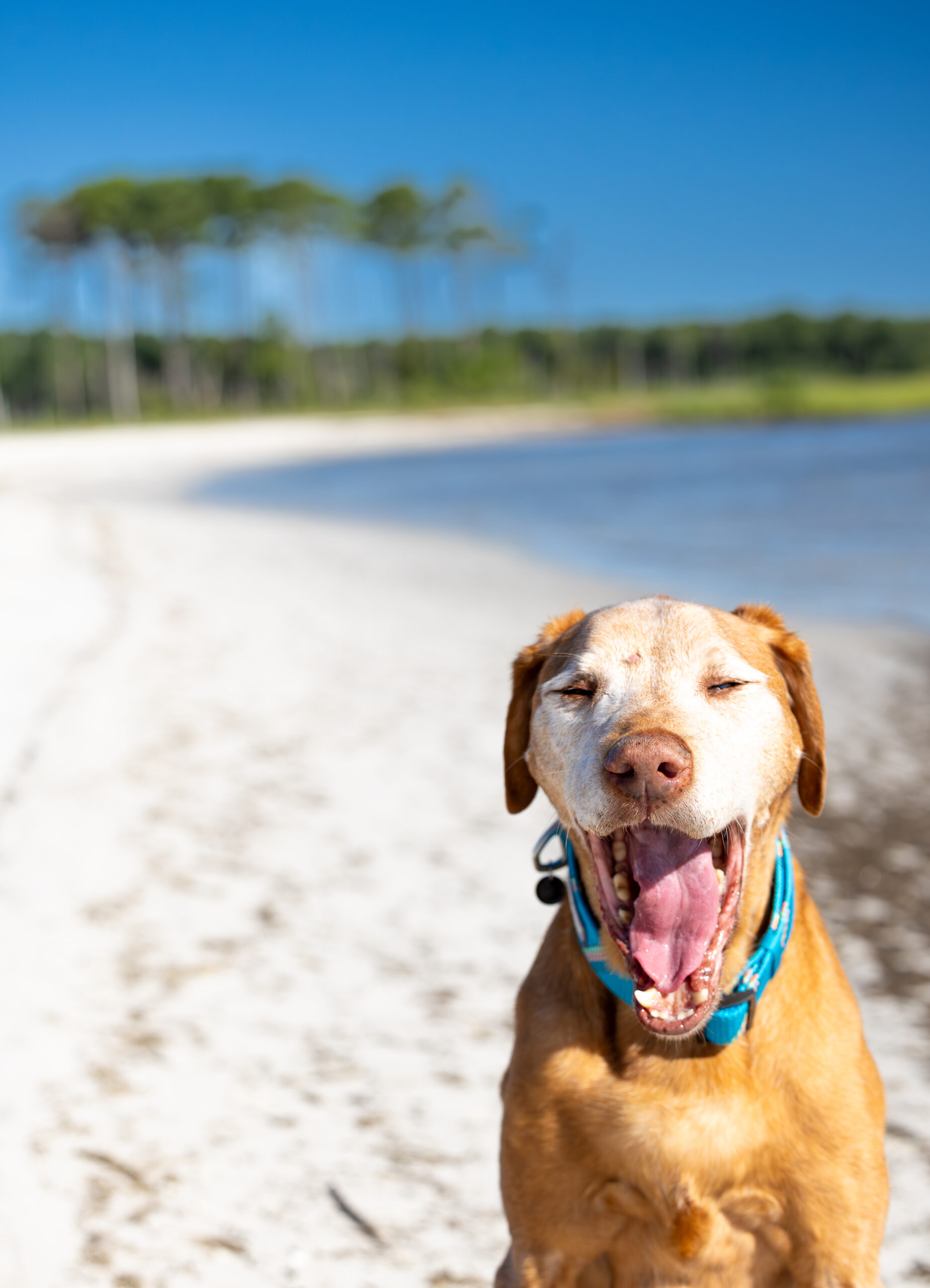 <center>Cayman</center>