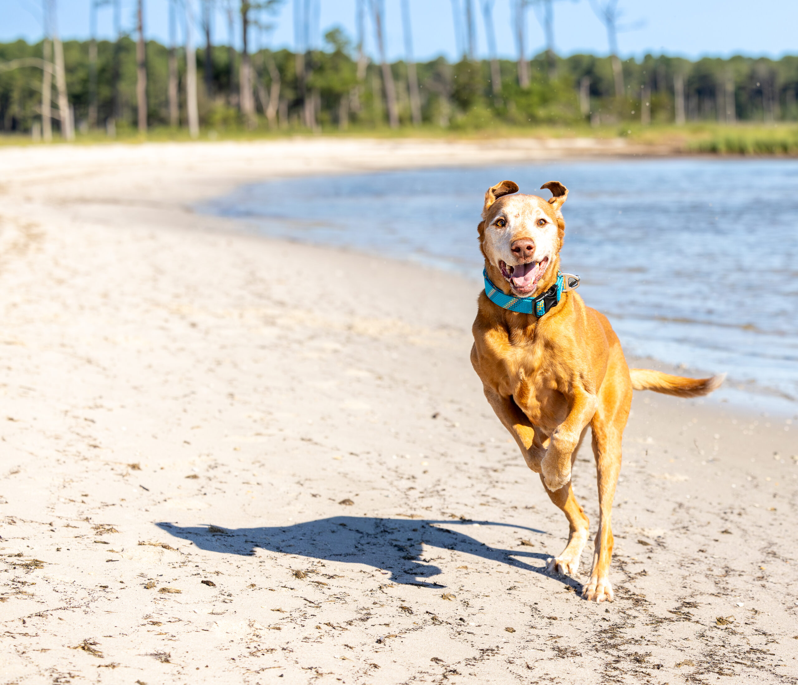 <center>Cayman</center>