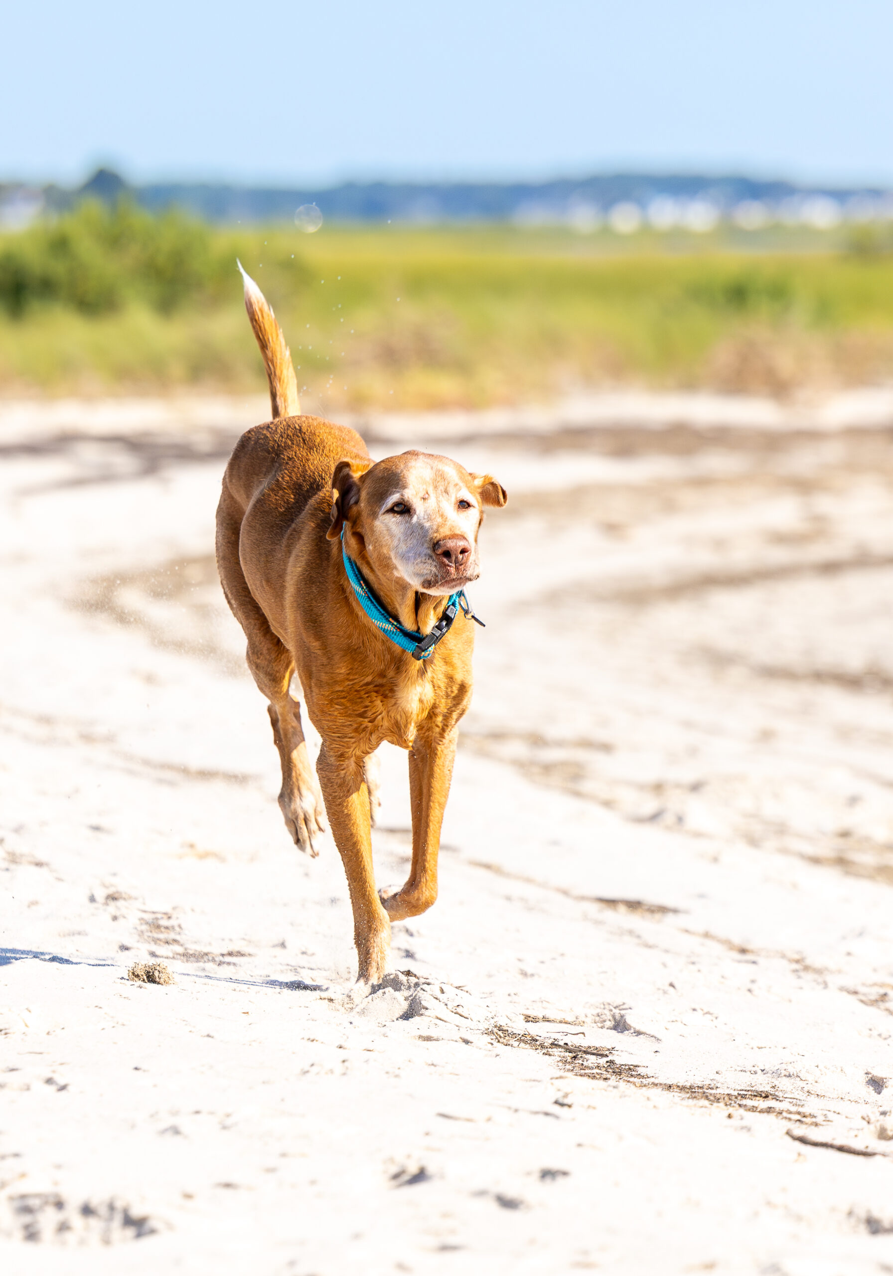 <center>Cayman</center>