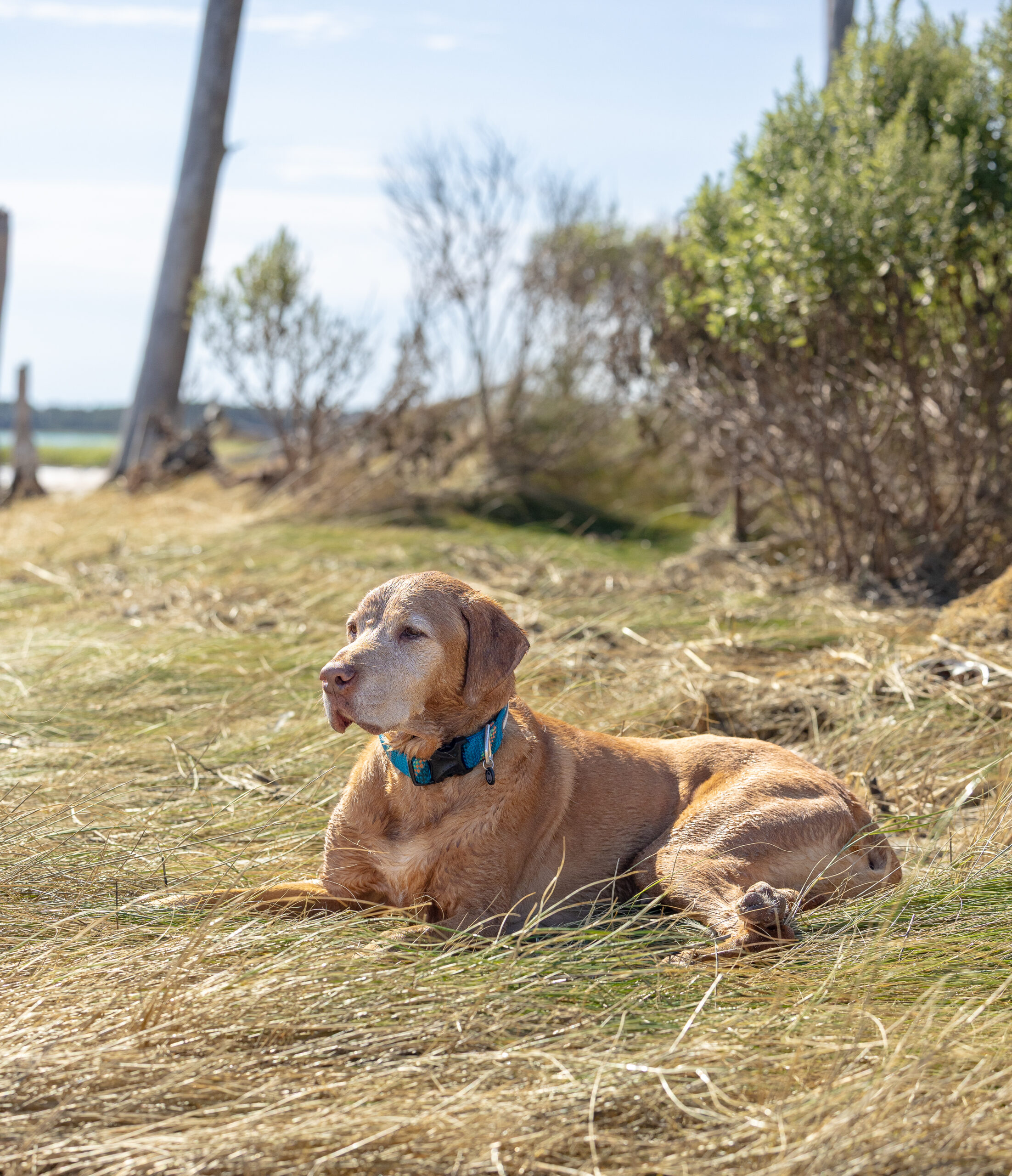 <center>Cayman</center>