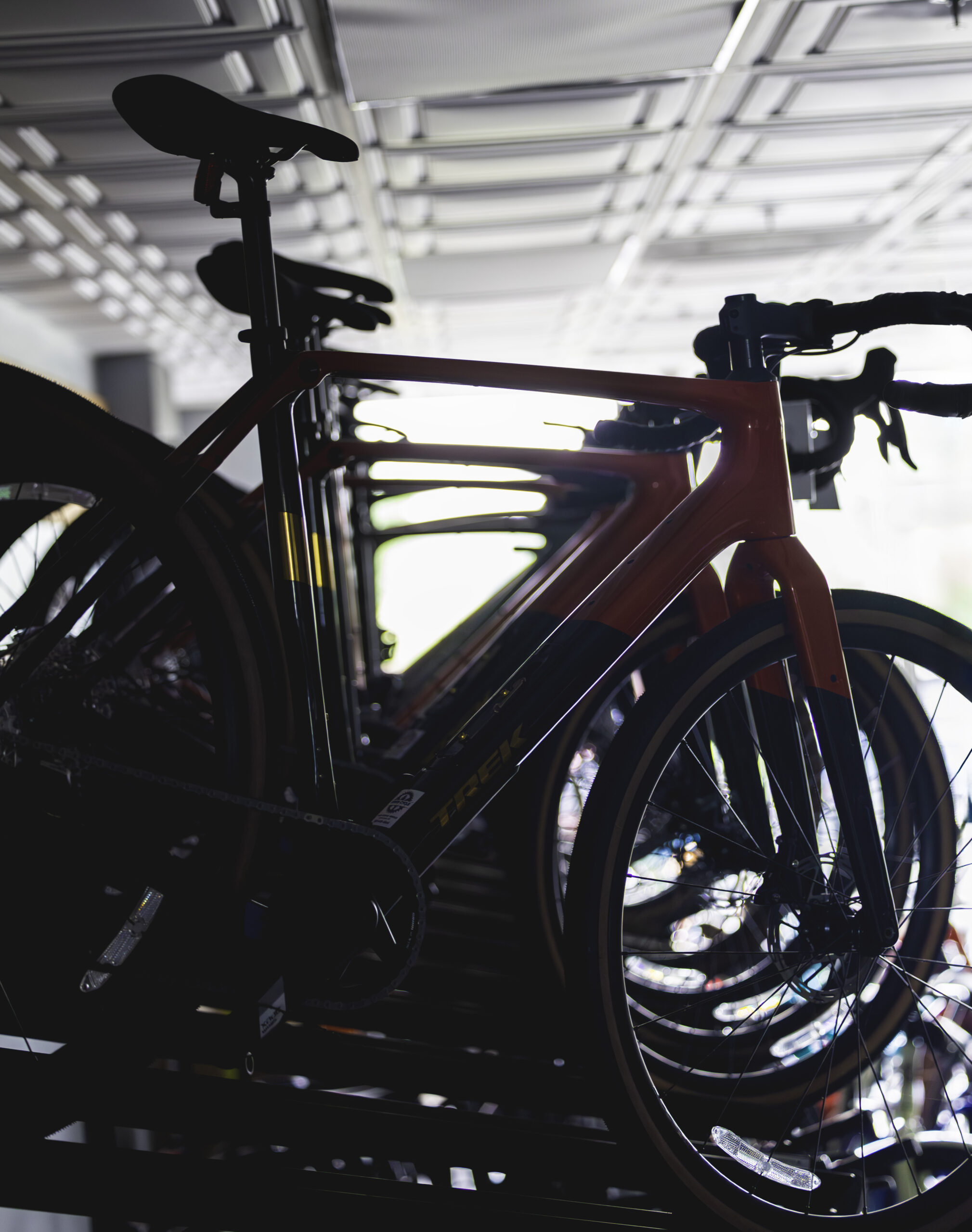 <center>Bike Sillouhettes </center>