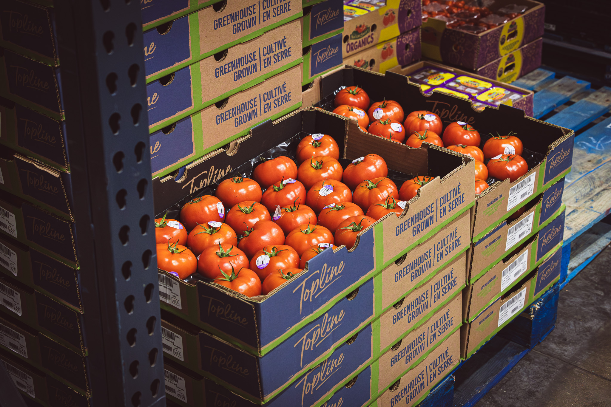 <center>Products Come in Many Forms</center>